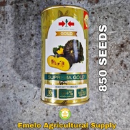 SUPREMA GOLD F1 HYBRID KALABASA / SQUASH (850 SEEDS) by EAST WEST SEED
