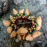 Walnut Marakas Bracelet Percussion Musical Instrument