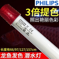 Red Golden Arowana Special Light Philips 865 Arowana Light T8/T9 Diving Light Fish Tank Aquarium Wat