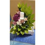 sirih junjung + bekas cincin by j2h2 shop (inc Pinang, kapur dan gambir)