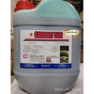 20L CMC Garrant 566 / Xemum / Kenpat / Rainpat / Racun Rumpai cepat mati / Tanaman
