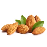 Kacang Badam Mentah/RAW ALMOND Nuts