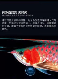 Horse Seal Magic Lamp Three Primary Colors Arowana Lamp Special Brightening Red Fish Not Red Water led Waterproof Diving Watch Fish Tank Light