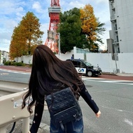 DIOR黑銀菱格紋後背包   18*22*11  9新. 配件塵袋