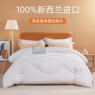 Syllere - 包送貨 -優質加厚羊毛被 不同尺寸可選 採用澳洲入口羊絨 冬季保暖 乾爽不焗 被芯／棉被／床上用品／冬季被／天然羊毛 單人150x200cm