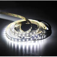 Led Light Strip 5M Daylight White 300LEDs SMD 5630 LED Strip Lights DC12V Flexible
