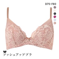Wacoal premium 13series BXD713 13G push up bra plunging type (Sizes D-F)(40BXD713DF)(Direct from Jap