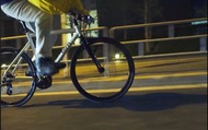 Tern Clutch bike 單車