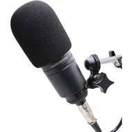 Pop Filter Foam Cover - Mic Windscreen Wind Cover Compatible with Audio Technica AT2035 Condenser Mi