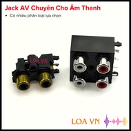 Audio AV Jack 2 Holes 1 White 1 Red AV2, RCA jack, from VN Speaker shop