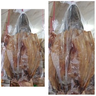 (Ready) Ikan Gabus Asin / Ikan Toman / Loi Pou