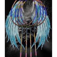 [KLINT] RACKET THUNDER FORCE 900- NR900 FRAME