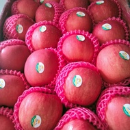 ♤ buah apel 1kg fresh