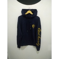 Hoodie ED HARDY