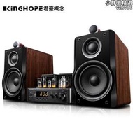 【好康】KINGHOPEKH-503三分頻Hifi真空管膽機發燒音響組合裝電視音箱