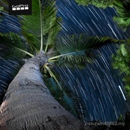 GoPro HERO12 Black运动相机5.3gopro12