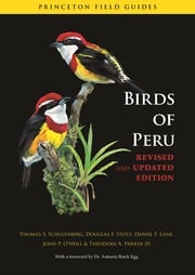 Birds of Peru Thomas S. Schulenberg