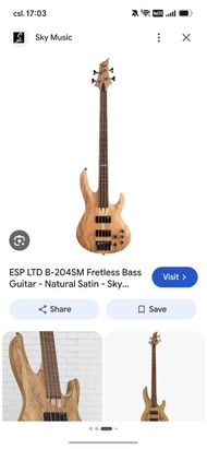 *徵收* ESP LTD B-204SM Fretless Bass 結他