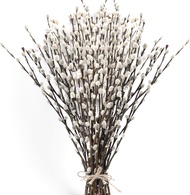 Oning 60 Stems 17＂Real Dried PussyWillow Branches for Vase Natural PussyWillows with White Flowers S
