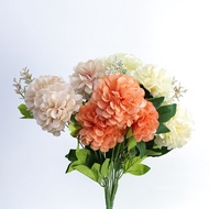 Lychee dahlia bouquet - Dried dahlia bush - MD