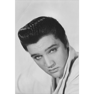 Elvis Presley Rock and Roll Music Poster Photo Picture In The Room Wall Decoration Band
