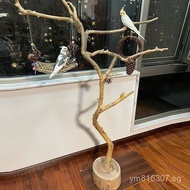 Ceiling Dried Wood Branches Natural Hanger Tree Trunk Log Dried Branches Decorative Bird Stand Wall 