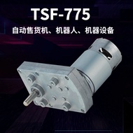 TT775Square DC gear motor, micro brushed motor for peristaltic pumps7Torque-reducing motor