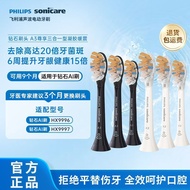 Hubei Province Tanghongran Technology Co., Ltd. Philips Electric Toothbrush Head Replacement hx9093/
