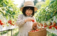Saga: Yutoku Inari Shrine & Takeo Onsen & Ouo Shrine Strawberry Picking Day Trip (Lunch Included)