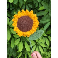 Double sunflower branches with large size leaves real photo