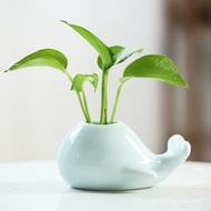 Creative Ceramic Small Vase Living Room Home Hydroponic Green Dill Decorations Ornaments Desktop Flo