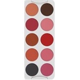 Kryolan Blusher Palette 10 Colors.