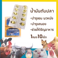 Fish liver Oil​ COD​ Oil