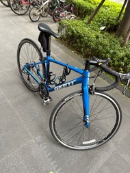 Giant scr2