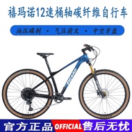 29/27.5inch carbon fibre MTB 12