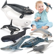 8PCS Whale Figurines Toys for Toddlers, Realistic Ocean Animals Figures Sea Creatures Toys for Kids 