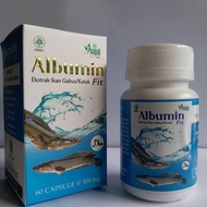 ALBUMIN FIT - Snakehead FISH EXTRACT - 60 CAPSULES!!