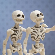 #龍年行大運 解剖學 筆記 高雄醫學大學 跑台考試  大一期末考 anatomy skeleton 手繪彩圖