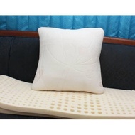 Pillow Case | Silicone Sofa Pillow / Goose Feather 50X50Cm (Unit)