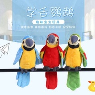 Trusted TALKING DOLL TALKING BIRD CAN TALKING CHEAPEST!!!
