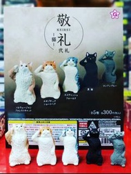 YELL 日版
敬禮貓貓  #挪威森林貓 #異國短毛貓 #蘇格蘭摺耳貓 #黑貓 #俄羅斯藍貓 （散款）