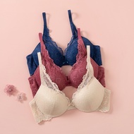 Felancy Wired Fashion Lace Bra 073-01333