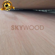 Triplek / Plywood 12mm