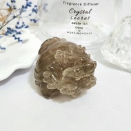 茶髮晶龍龜
