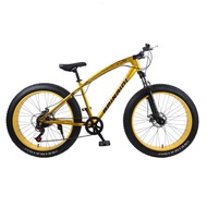 4.0 fat tire Mountain bike Double disc brake beach snow bicycle light high carbon steel mountain bicycle