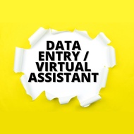 Data Entry & Virtual Assistant