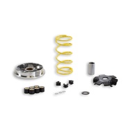 Suzuki V100 Malossi Multivar