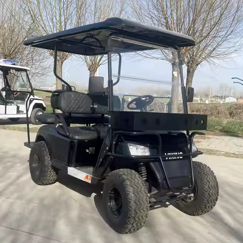 CE and DOT 2/4/6/8/10 Seater/Seat/Passenger Lead Acid/Lithium Battery Electric Golf Cart with Rain C