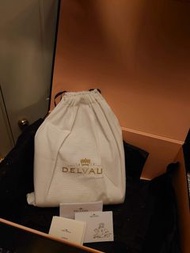 Delvaux Tempete PM Style👜💛