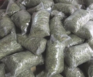 Rumput Kering Segar Freshly green premium imported USA Timothy hay 1kg